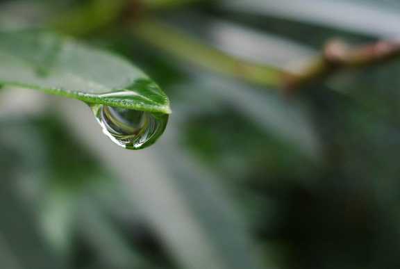 雨水收集利用讓城市更美好