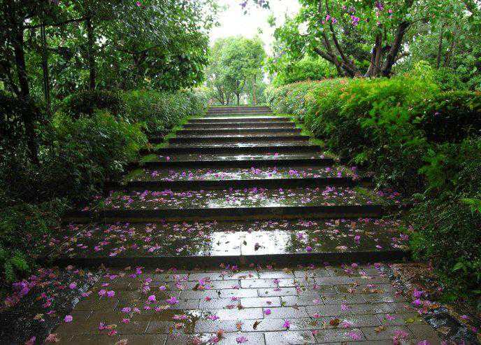 彌勒寺公園的雨水收集