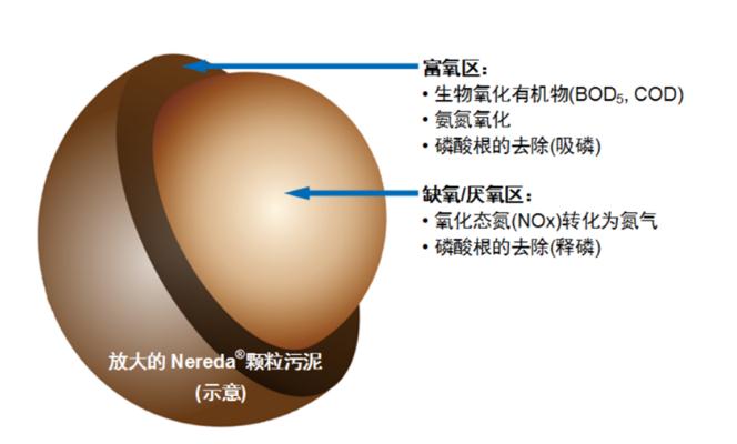 污水處理設(shè)備__全康環(huán)保QKEP