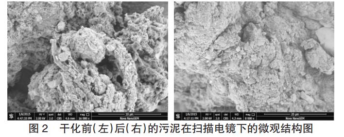 污水處理設備__全康環(huán)保QKEP