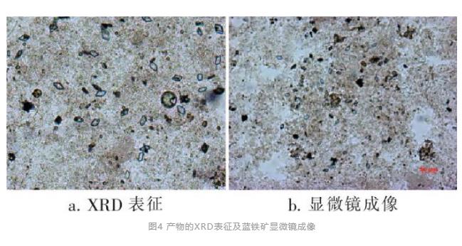 污水處理設(shè)備__全康環(huán)保QKEP